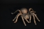 Es gibt wieder neue, aus Bronze gegossene Vogelspinnen