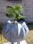 Pflanzengefäß aus verzinktem Stahl mit einem Bonsai
