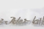 Handschrift aus Edelstahl für ein Grabmal