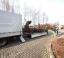 Transport unserer Riesenechse zu einer Ausstellung in die Gartenlounge bei Steinberg Gärten in Hannover