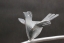 Rankgitter mit 3 Stück gelaserten Eisenvögeln