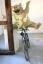Die drei Freunde vom Mullewapp erhalten ein neues Fahrrad im Zoo Hannover
