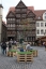 3-4 Meter hohe Blumen auf dem historischen Marktplatz von Hildesheim für das Stadtfest im Juni