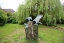 Vogelskulpturen für 3 Baumstümpfe