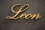 Aluminium Schriftzug "Leon"