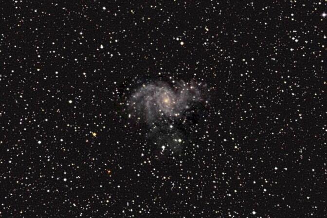 Supernova in NGC 6946