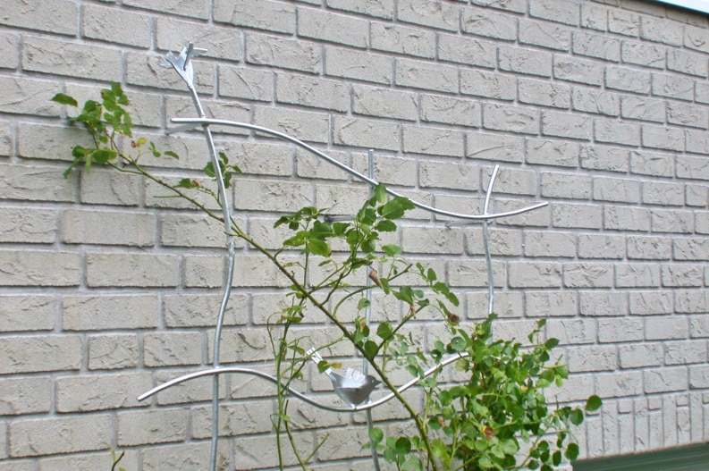 Rankgitter aus feuerverzinktem Stahl