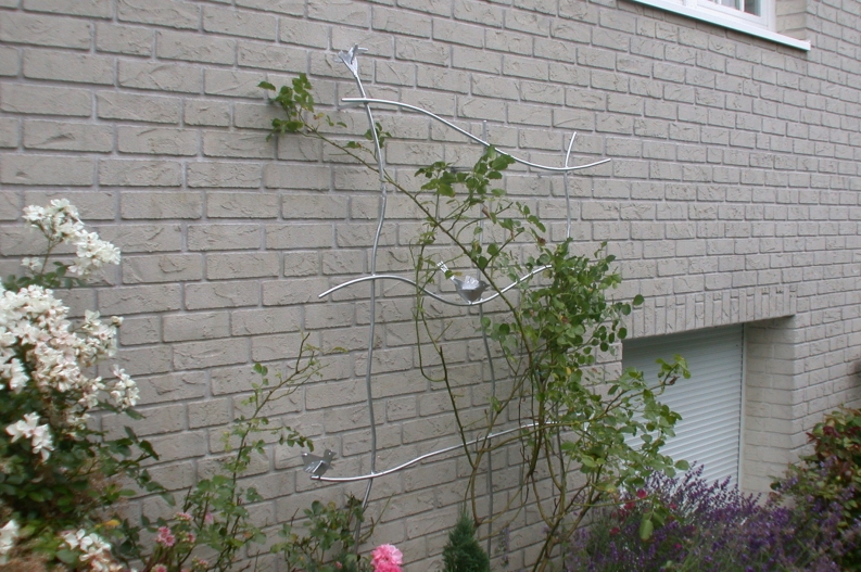 Rankgitter aus feuerverzinktem Stahl