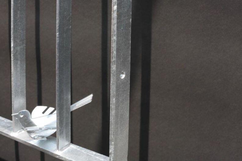 franz. Balkon mit Eisenvogel