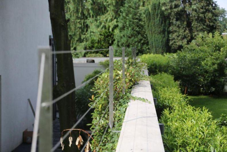 Rankhilfe aus Edelstahl Flachmaterial und Edelstahl Seil