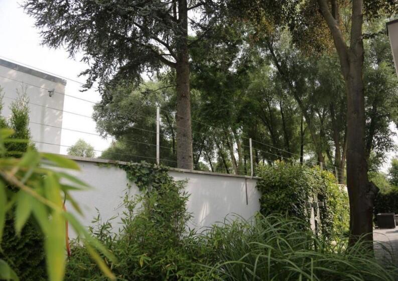 Rankhilfe aus Edelstahl Flachmaterial und Edelstahl Seil