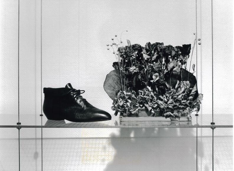 Geschäftseinrichtung - evolution in shoes