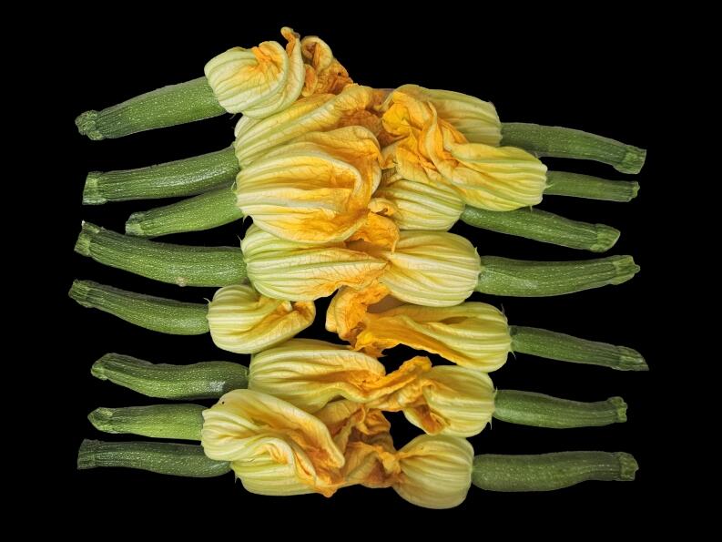 gefüllte Zuccini mit Ricotta und Parmesan