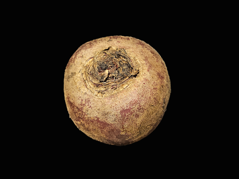 Rote Bete Millefeuille