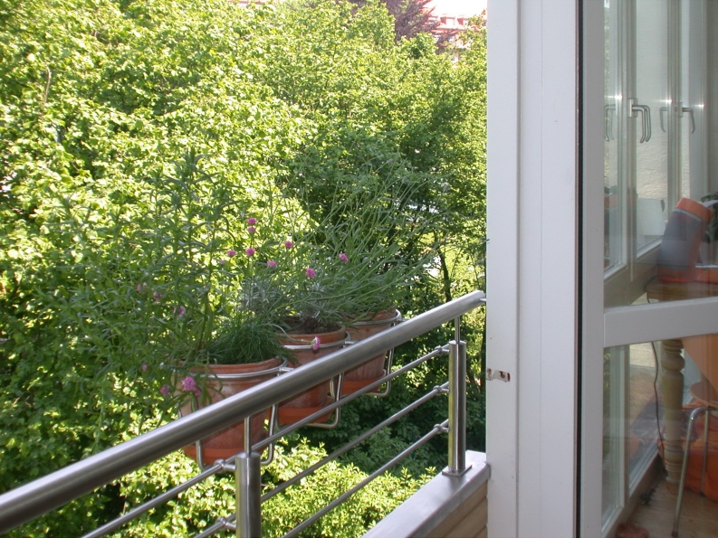 Edelstahl Balkongeländer mit Blumentopf Halter