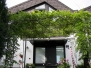 Glas Vordach mit Rankgitter