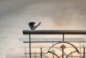 Franz. Balkon aus verzinktem Stahl mit Schmuckornamenten, anthrazit lackiert, Preis per laufenden Meter