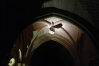 Probeleuchtung des Kreuzgang der Michaeliskirche in Hildesheim