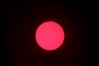 Einzelaufnahme der Sonne mit schönen Protuberanzern am 5.6.11